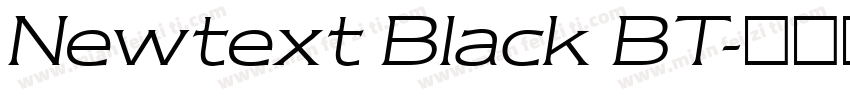 Newtext Black BT字体转换